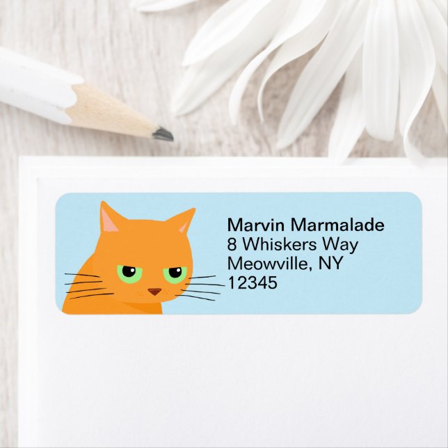 Funny Orange Cat Return Address Labels (Insitu)
