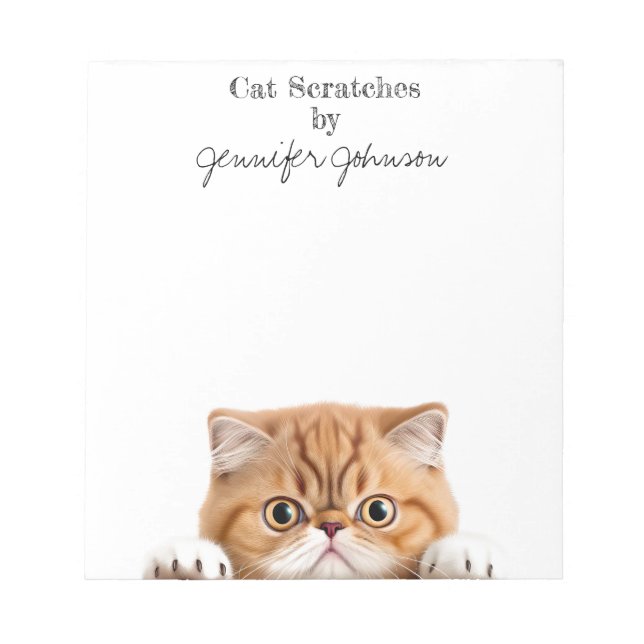 Funny Orange Ginger Tabby Cat Notepad (Front)