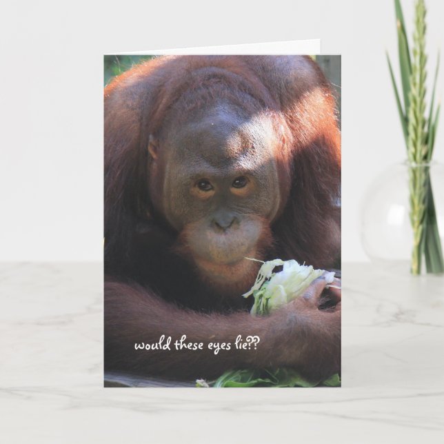 Funny Orangutan Birthday, Over the Hill Card (Front)