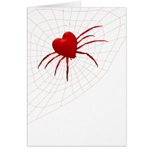 Funny Orb-Weaver Spider Cards