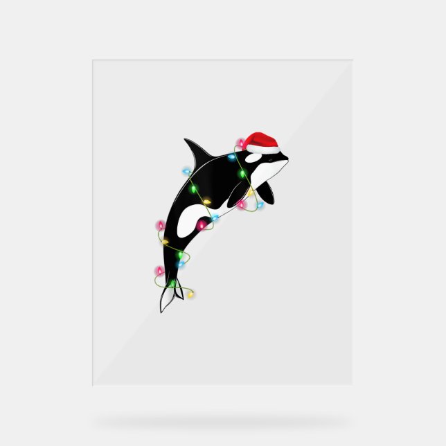 Funny Orca Killer Whale Santa Hat Christmas Sea An Acrylic Sign (Front)