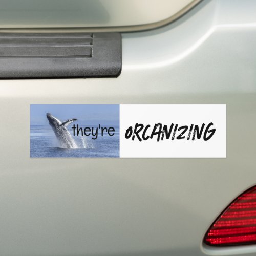 Funny ORCANIZING Orca Killer Whale Meme Joke Bumper Sticker