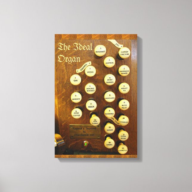 Funny organ canvas print (Front)