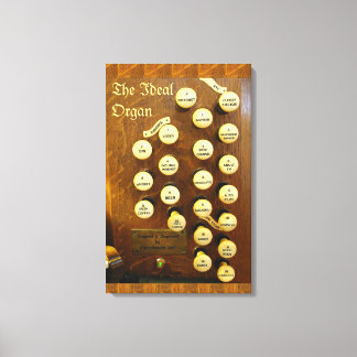 Funny organ canvas print