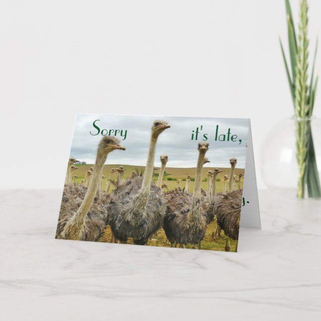Funny Ostrich belated birthday card (Front)