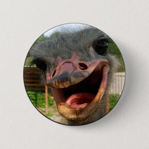 Funny Ostrich Bird Photo What's Up Button
