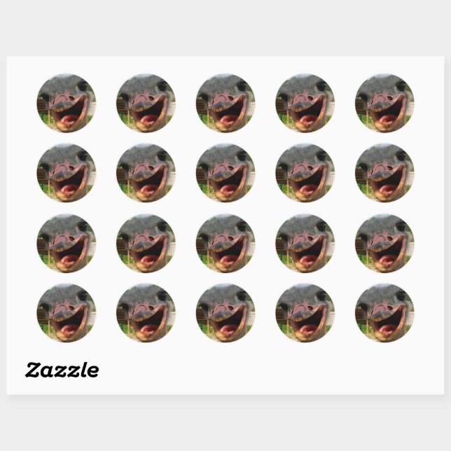 Funny Ostrich Bird Photo What's Up Classic Round Sticker (Sheet)