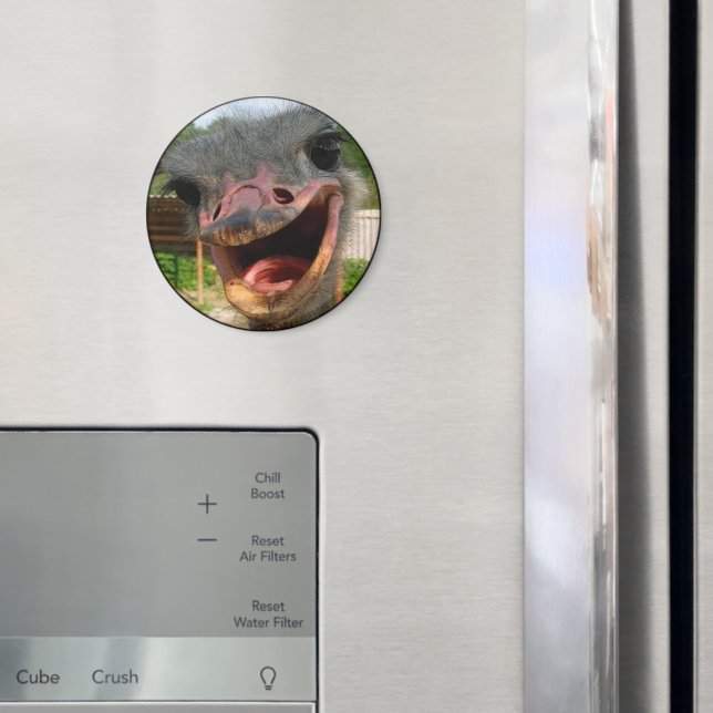 Funny Ostrich Bird Photo What's Up Magnet (In Situ (Fridge))