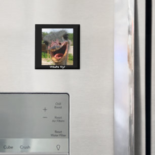 Funny Ostrich Bird Photo What's Up Magnet