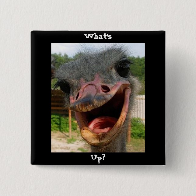 Funny Ostrich Bird Photo What's Up Pinback Button (Front)