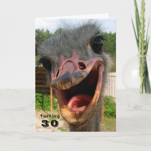 Funny Ostrich Bird Turning 30 Birthday Card