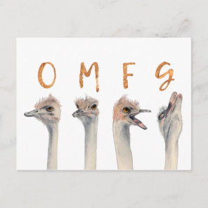 Funny Ostrich Birds OMFG Postcard