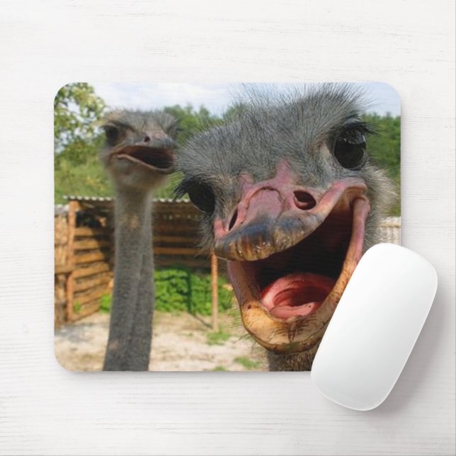Funny Ostrich Couple Mouse Pad (With Mouse)