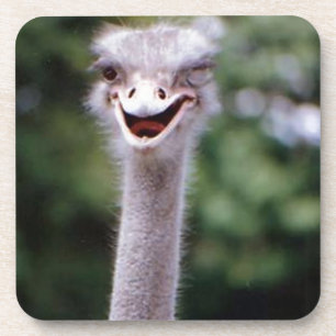 Funny Ostrich Drink Coaster