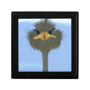 Funny Ostrich George And The Cute Ladybug Gift Box