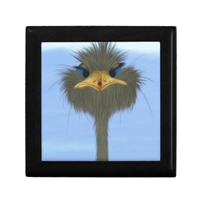 Funny Ostrich George And The Cute Ladybug Gift Box (Front)