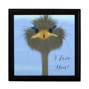 Funny Ostrich George And The Cute Ladybug Gift Box