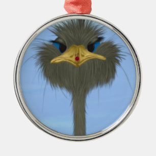 Funny Ostrich George And The Cute Ladybug Metal Ornament