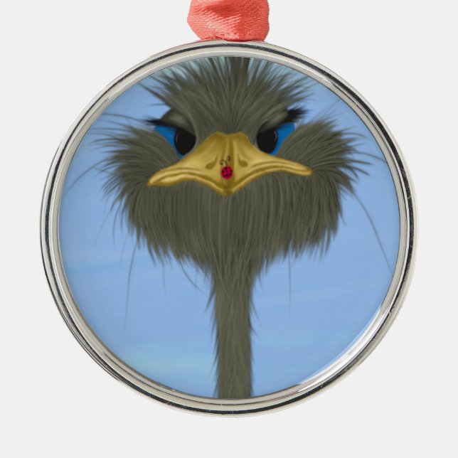 Funny Ostrich George And The Cute Ladybug Metal Ornament (Front)