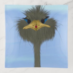 Funny Ostrich George And The Cute Ladybug Trinket Tray