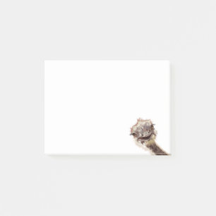Funny Ostrich Post-it® Notes