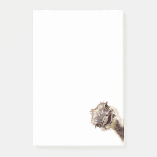 Funny Ostrich Post-it® Notes
