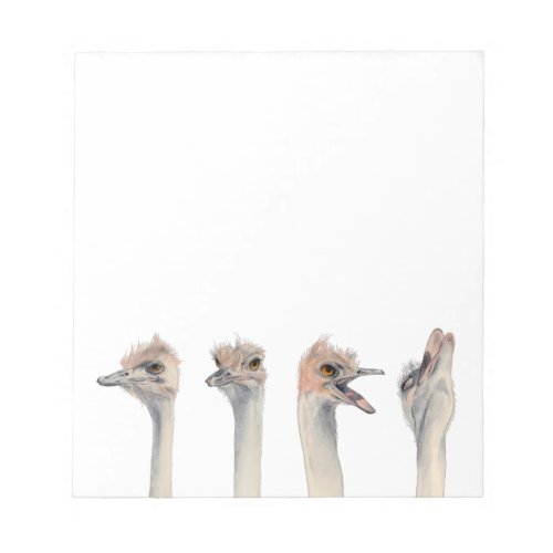 Funny Ostriches Watercolor Illustration Notepad