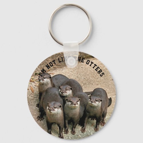 Funny Otter Quote Im Not Like the Otters Photo Keychain