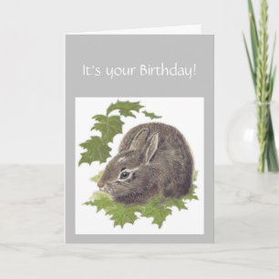 Funny Over the hill , Gray Hare Club, Birthday! C Card