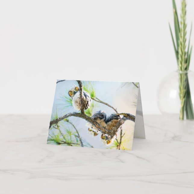 Funny Owl Babies Hanging in Tree Fine Art Note Card (Front)