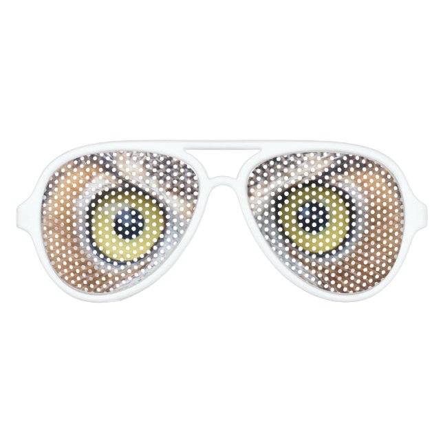 Funny Owl eye sunglasses (Front)