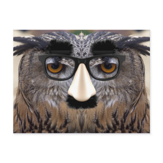 Funny Owl Face With Mask Postcard