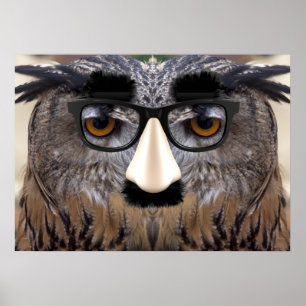 Funny Owl Face With Mask Poster