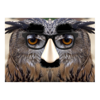 Funny Owl Face With Mask Poster