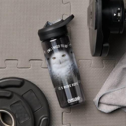 Funny Owl I Need to Do  Snowy Owls Water Bottle