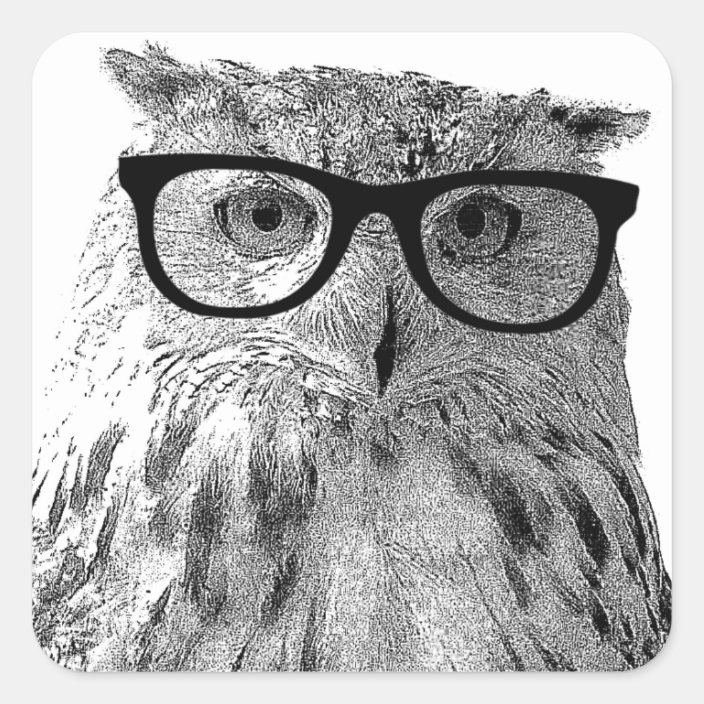owl wearing glasses
