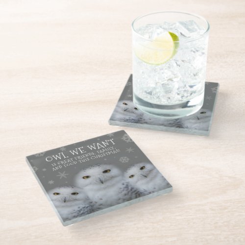 Funny Owl We Want for Christmas  Snowy Owls Glass Coaster