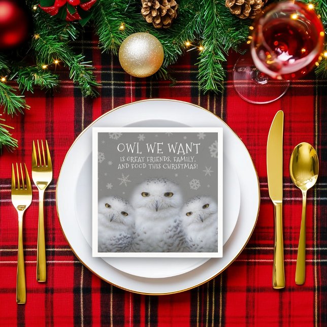 Funny Owl We Want for Christmas ... Snowy Owls Napkins (Trio of Snowy Owls Napkin Cover Photo)