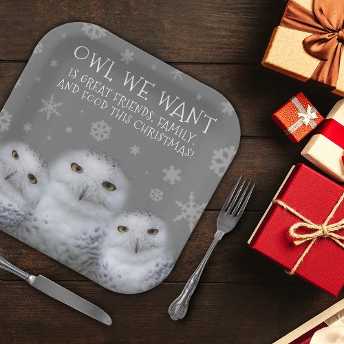 Funny Owl We Want for Christmas  Snowy Owls Paper Plates