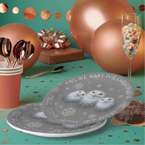 Funny Owl We Want for Christmas  Snowy Owls Paper Plates