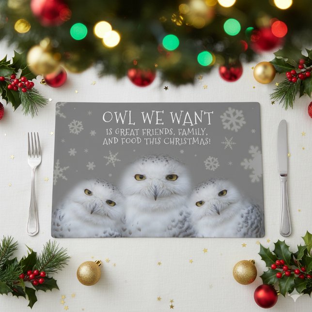Funny Owl We Want for Christmas ... Snowy Owls Placemat (Trio of Snowy Owls "Owl We Want" Placemat Cover Photo)
