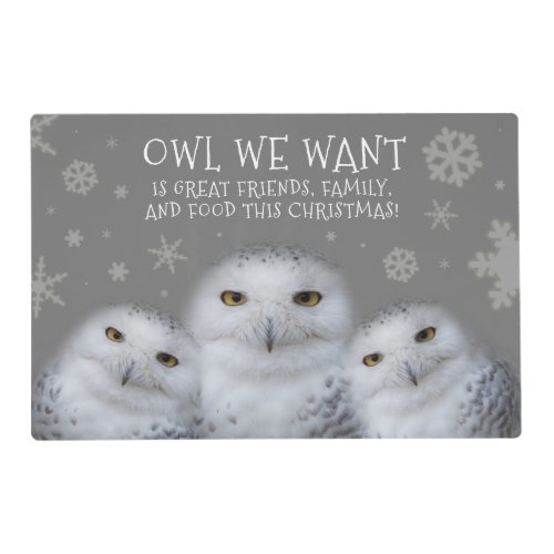 Funny Owl We Want for Christmas  Snowy Owls Placemat