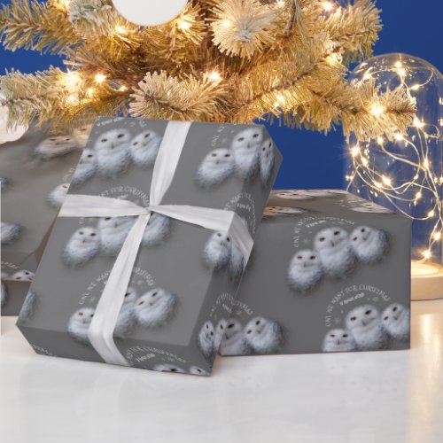 Funny Owl We Want for Christmas  Snowy Owls Wrapping Paper