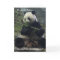 Funny Panda Birthday Card, Eat Cake, not bamboo!
