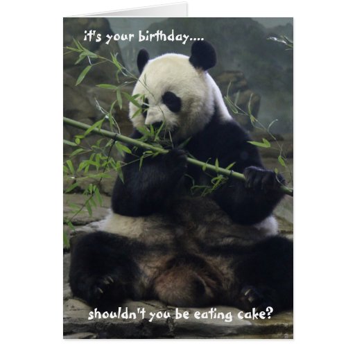 Funny Panda Birthday Card, Eat Cake, not bamboo! Card | Zazzle