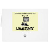 Funny Panda Cards (Back Horizontal)