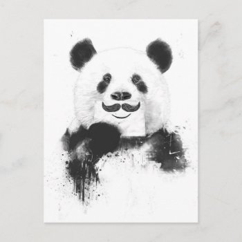 Funny Panda Postcard by bsolti at Zazzle