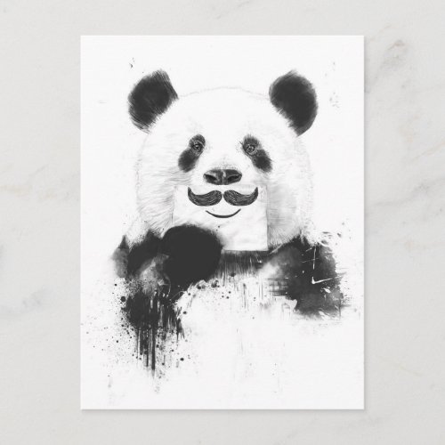 Funny panda postcard