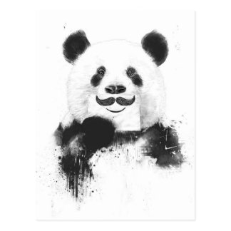 Funny panda postcard