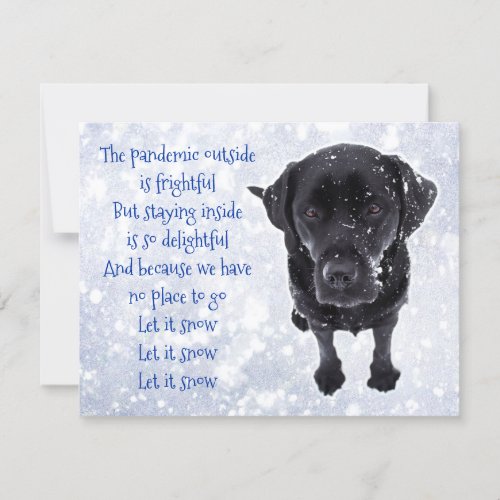 Funny Pandemic Christmas Dog Stay Home Covid Holiday Card